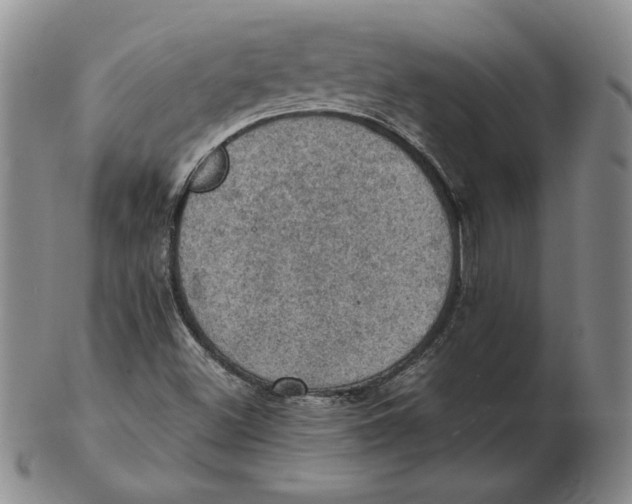 X0000103141500200809121742