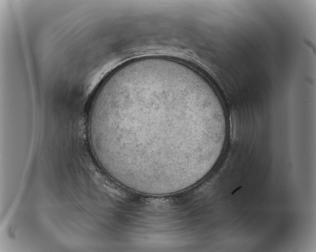 X0000103141501200809121742