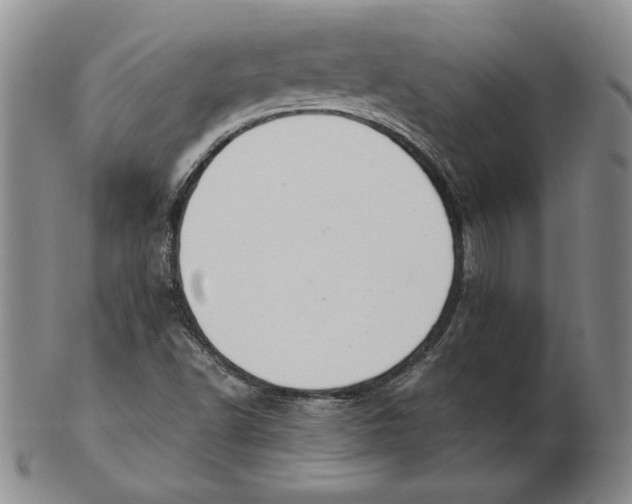 X0000103141502200809121742