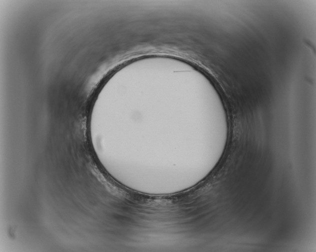 X0000103141503200809121742