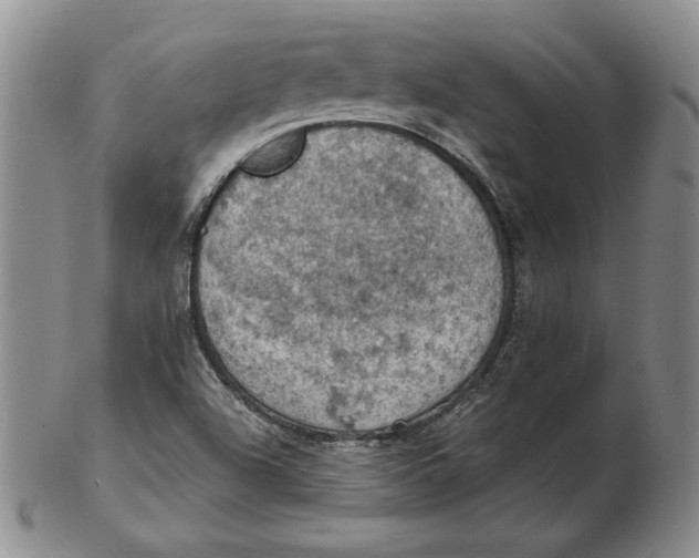 X0000103141504200809121742