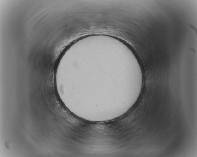 X0000103141507200809121742