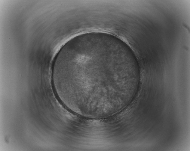 X0000103141508200809121742