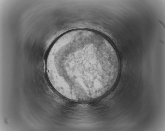 X0000103141509200809121742