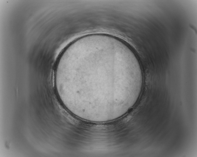 X0000103141510200809121742