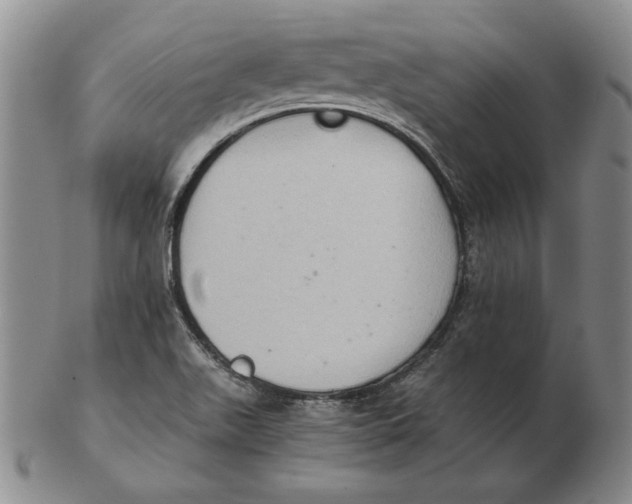 X0000103141511200809121742