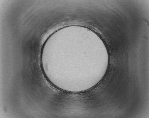 X0000103141512200809121742