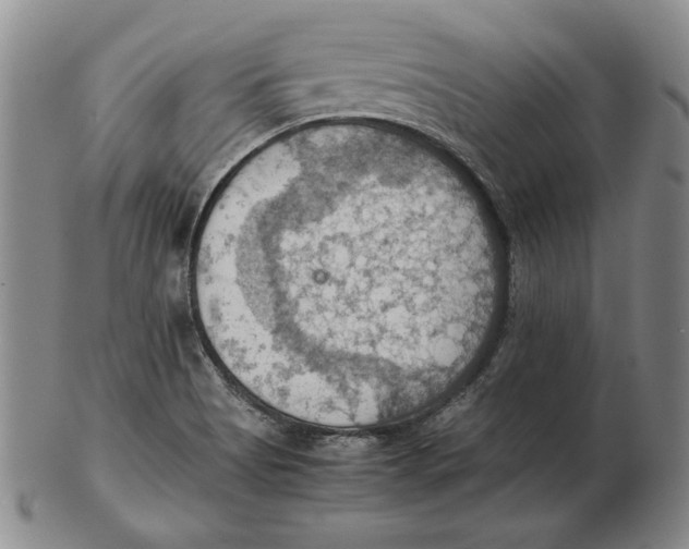 X0000103141513200809121742