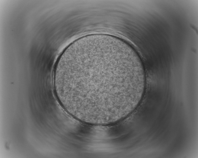 X0000103141514200809121742