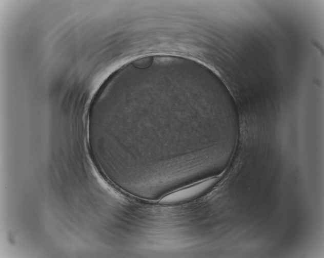 X0000103141515200809121742