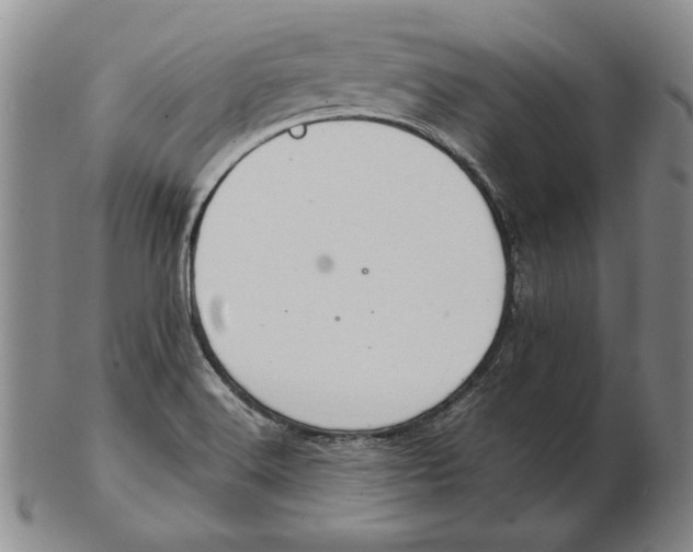 X0000103141516200809121742