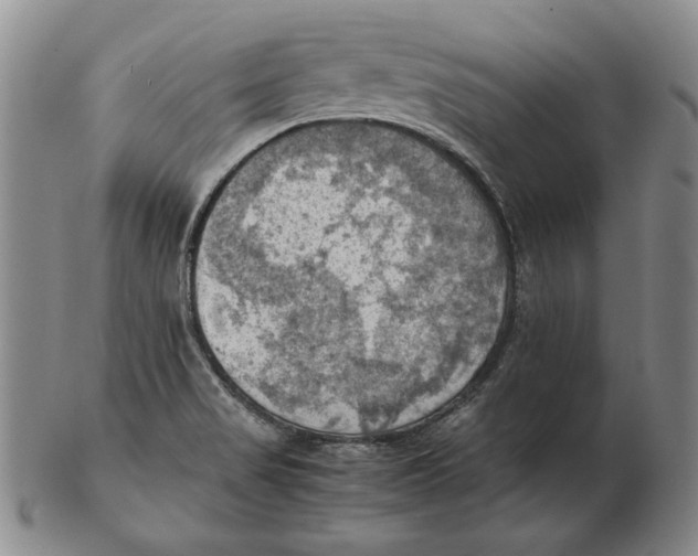 X0000103141517200809121742