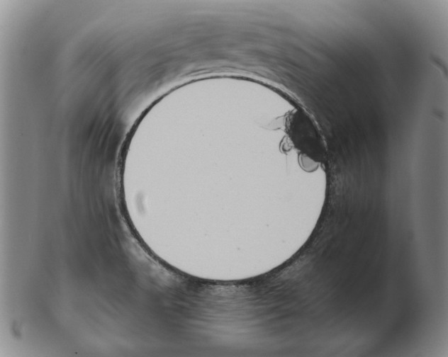 X0000103141518200809121742