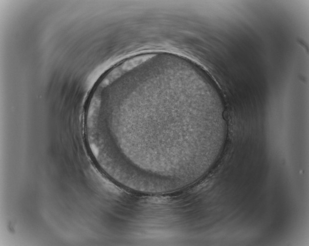 X0000103141519200809121742