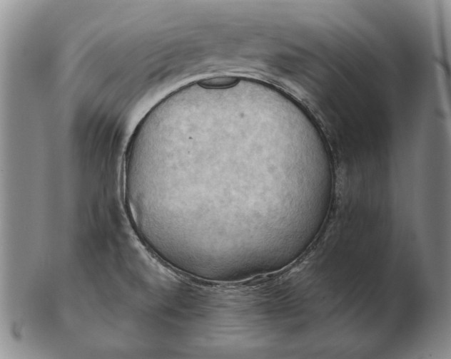 X0000103141520200809121742