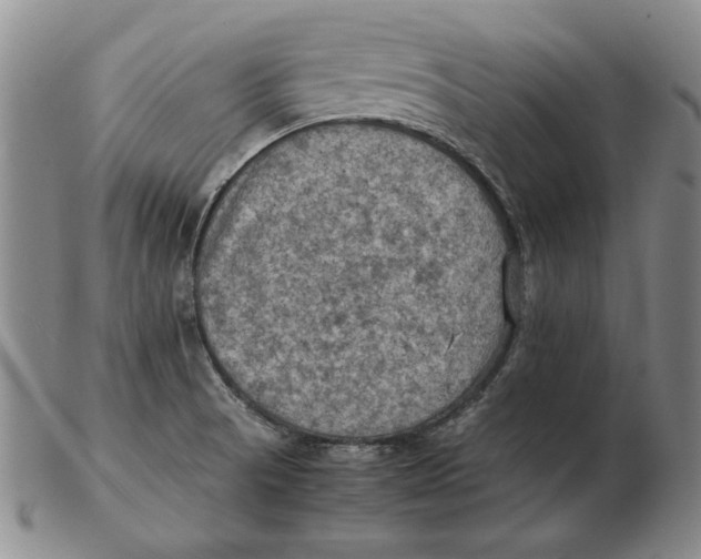 X0000103141521200809121742