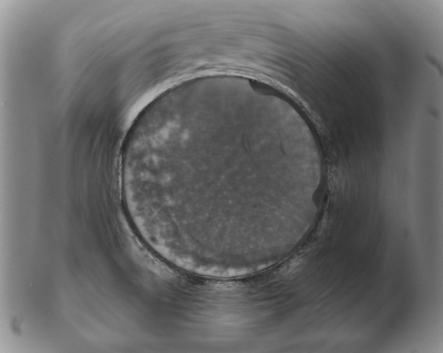 X0000103141522200809121742