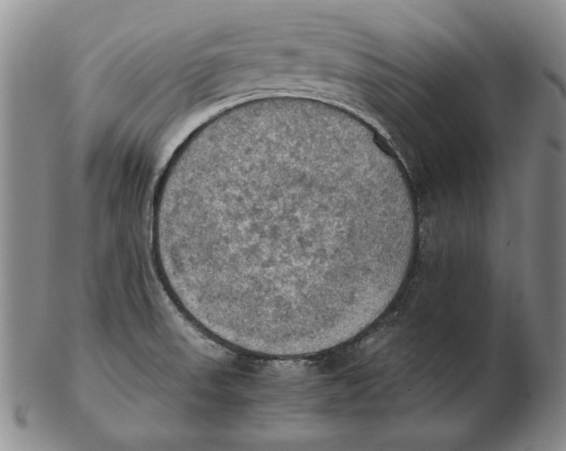 X0000103141523200809121742