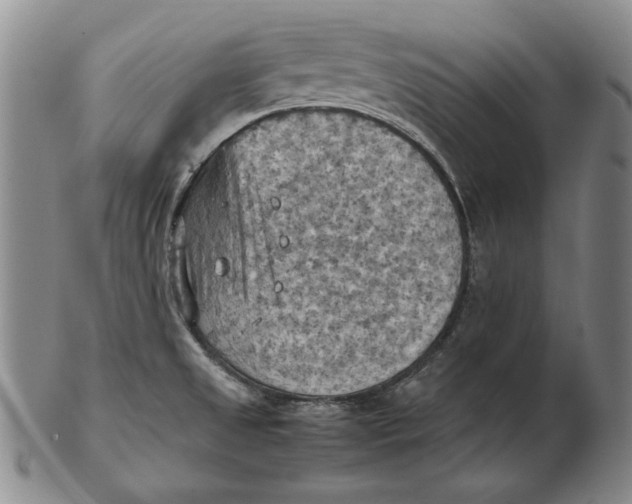 X0000103141525200809121743