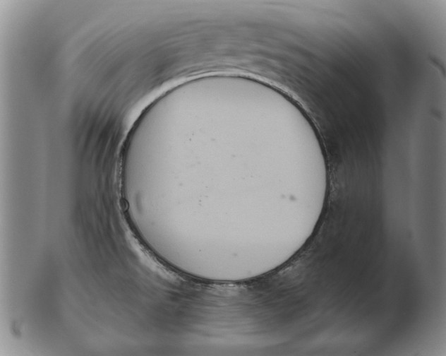 X0000103141526200809121743