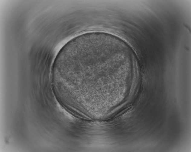 X0000103141527200809121743