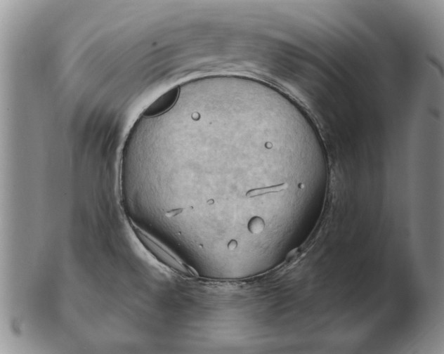 X0000103141528200809121743