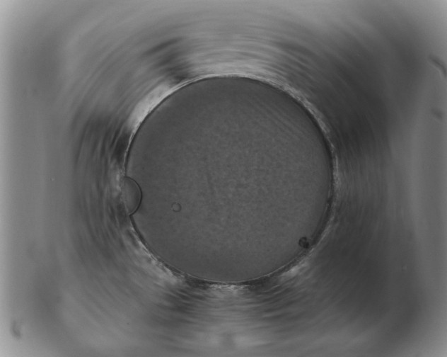 X0000103141529200809121743