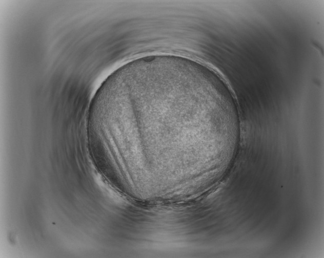 X0000103141530200809121743