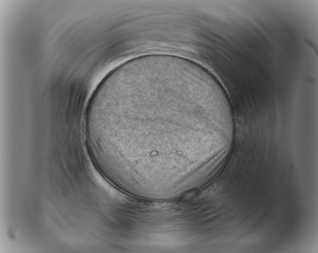 X0000103141531200809121743