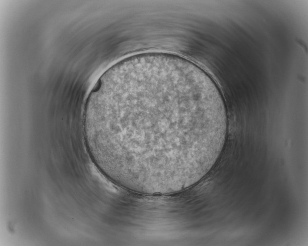 X0000103141532200809121743