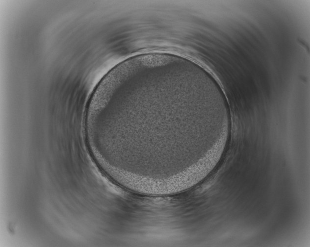 X0000103141533200809121743