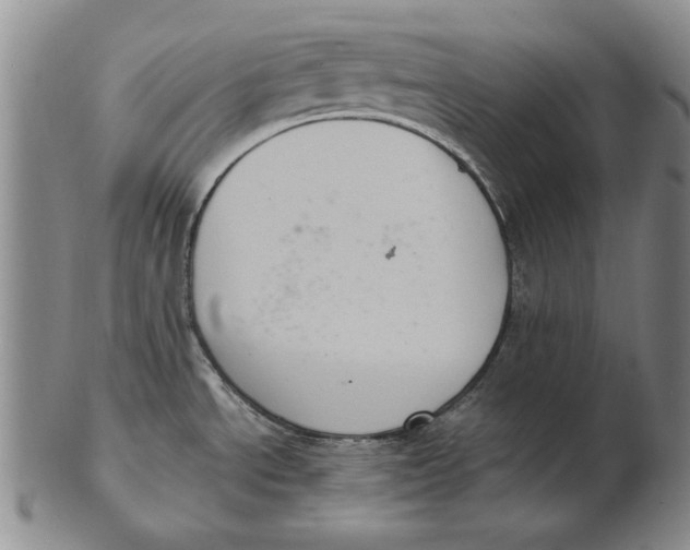 X0000103141534200809121743