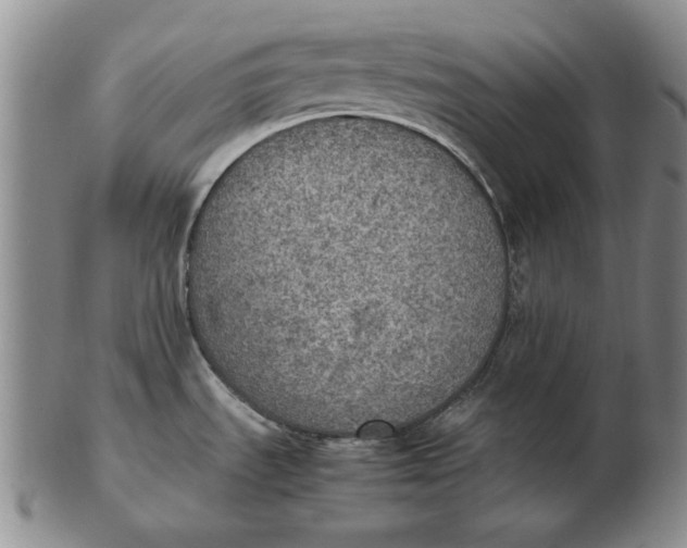 X0000103141535200809121743