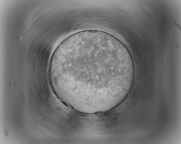 X0000103141536200809121743