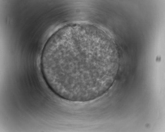 X0000103140002200809192016