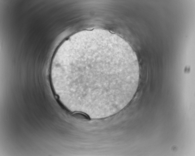 X0000103140003200809192016