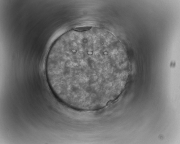 X0000103140004200809192016