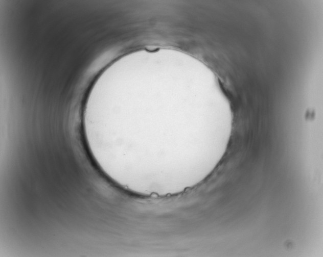 X0000103140005200809192016