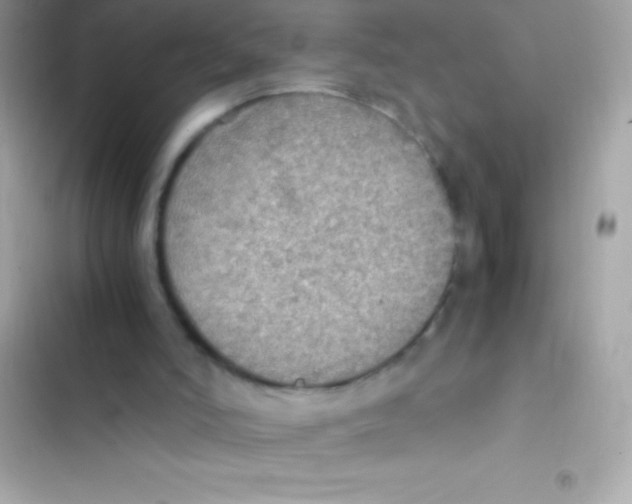 X0000103140006200809192016