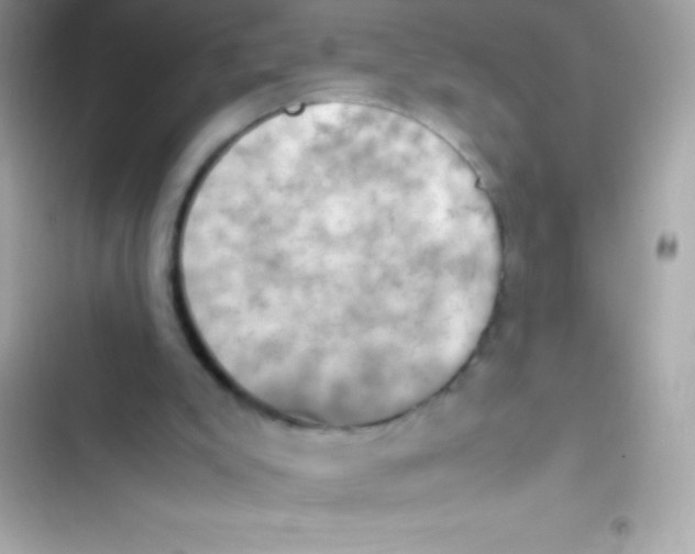 X0000103140007200809192016