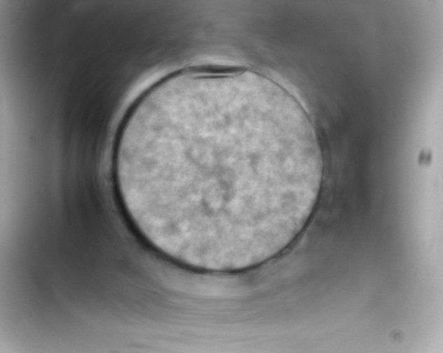 X0000103140008200809192016