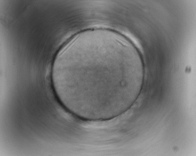 X0000103140009200809192016
