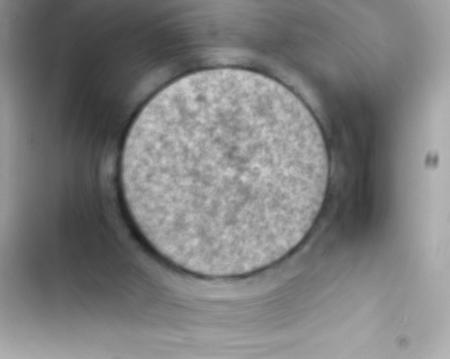 X0000103140010200809192016