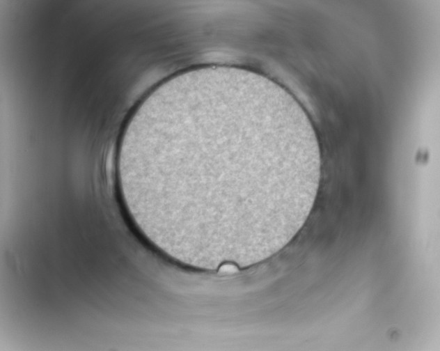 X0000103140011200809192016