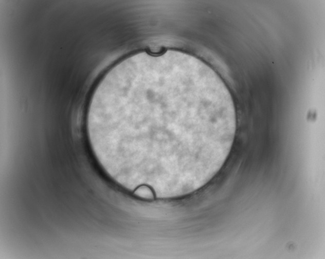 X0000103140012200809192016