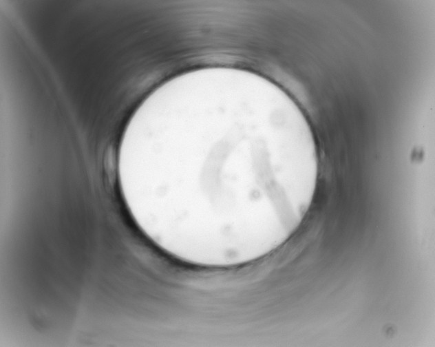 X0000103140013200809192016