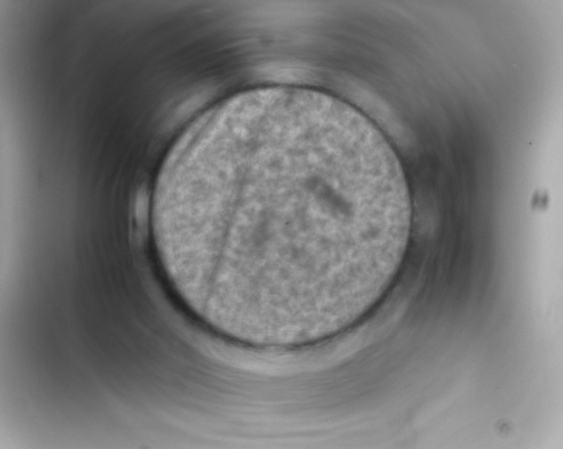X0000103140014200809192016
