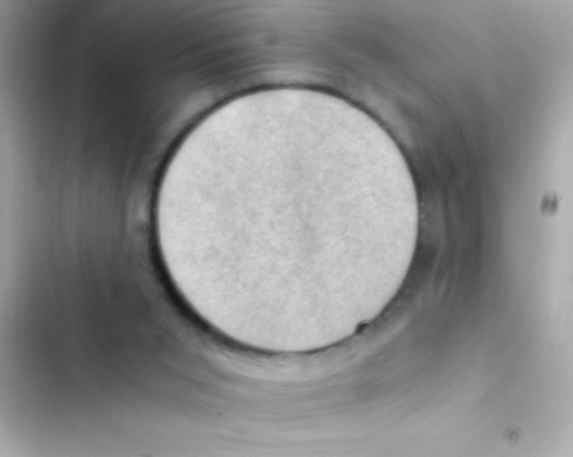 X0000103140015200809192016