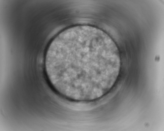 X0000103140016200809192016