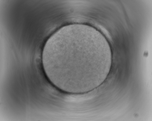 X0000103140017200809192016